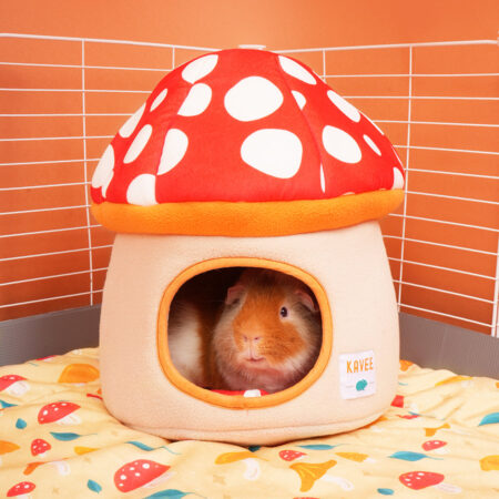 Guinea Pig Hidey House | Mushroom