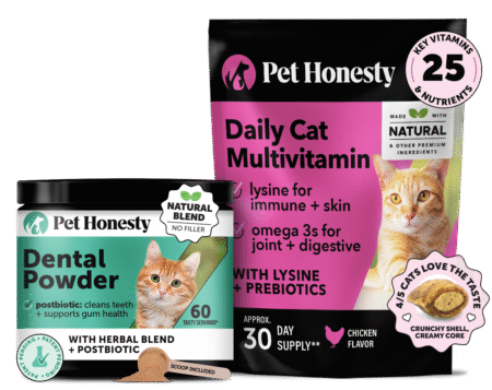 Cat Daily Essentials Bundle