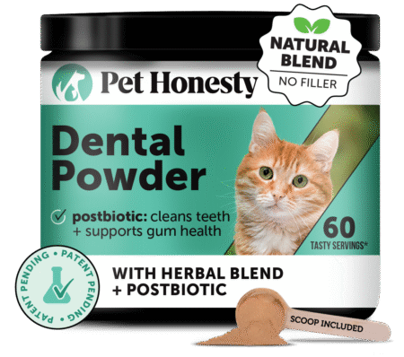 Cat Dental Powder