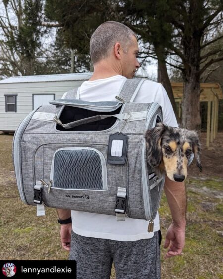 Mr. Peanut's Monterey Series Backpack Pet Carrier - Newly Updated Model Now Available