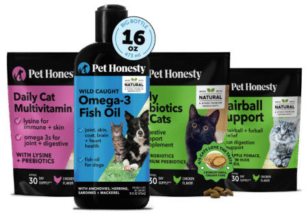 Adult Cat Vitality Bundle