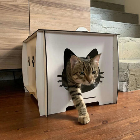 Chloe Cat House
