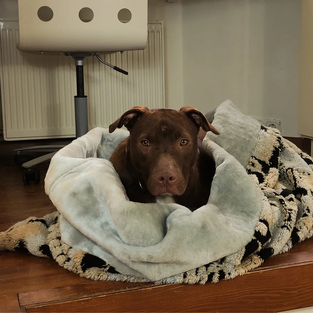 cozy-cave-dog-bed_4_0c3f2a2d-5f4d-4def-bd28-3d530a8c6ac3.jpg
