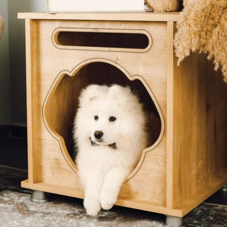 Foxie Modern Dog House
