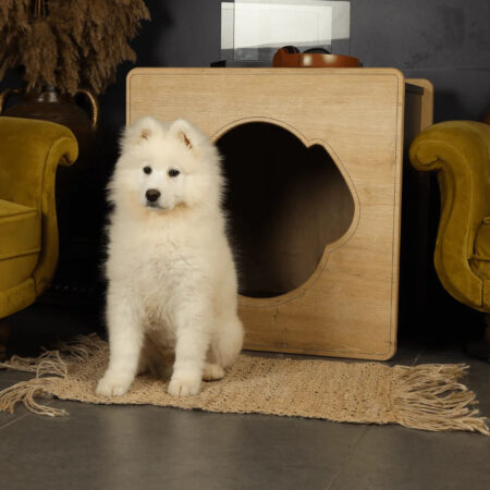 Mateo Natural Dog House